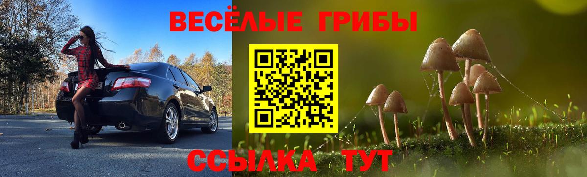 Коряжма  Галлюциногенные грибы Psilocybine cubensis  Вход с VPN 