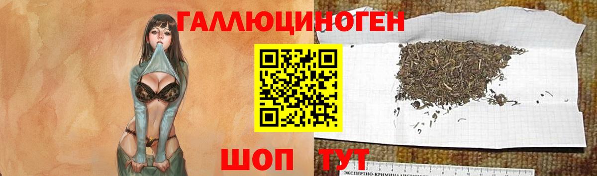 Галлюциногенные грибы прущие грибы Коряжма